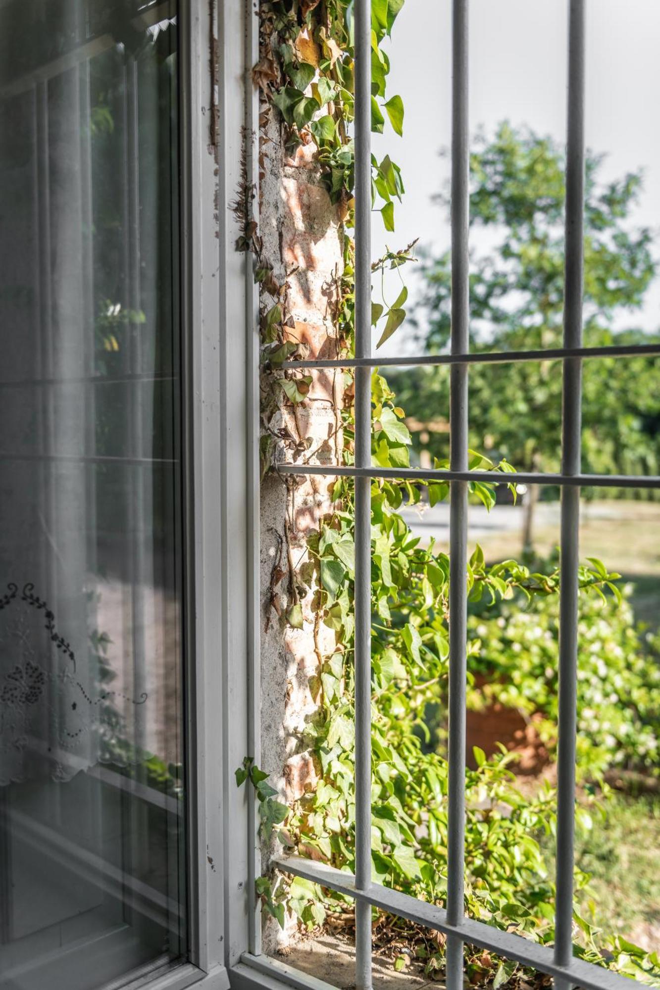 Villa Casolare Del Pin Bono à Altopascio Extérieur photo